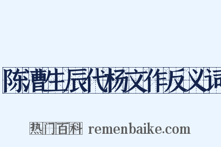 陈漕生辰代杨文作反义词是什么意思的图片